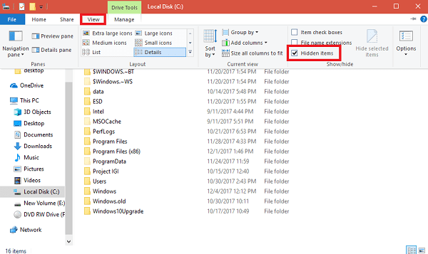 cannot view hidden files windows 10