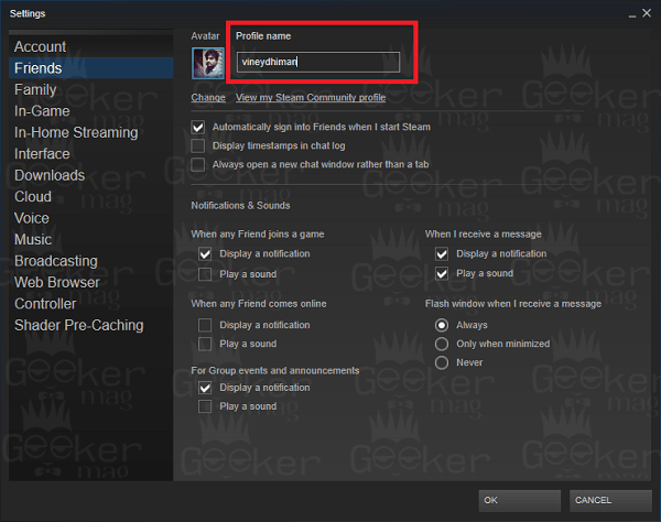 How to Edit   Change Your Steam Account Name and Profile Name - 99