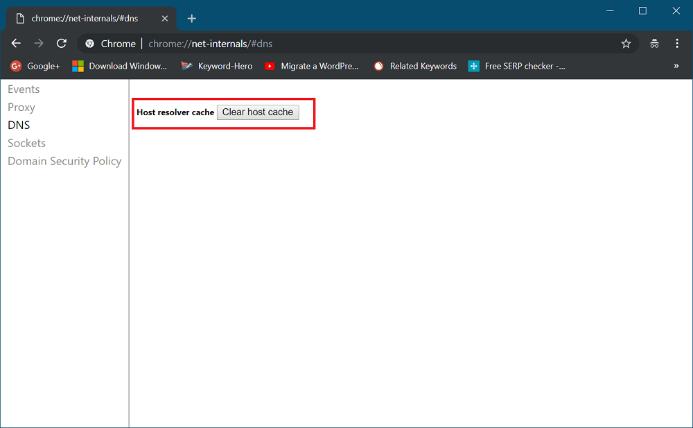 clear host cache in chrome browser