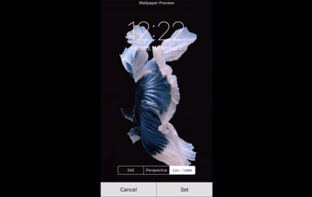 how to set live wallpaper on iphone 7 or above