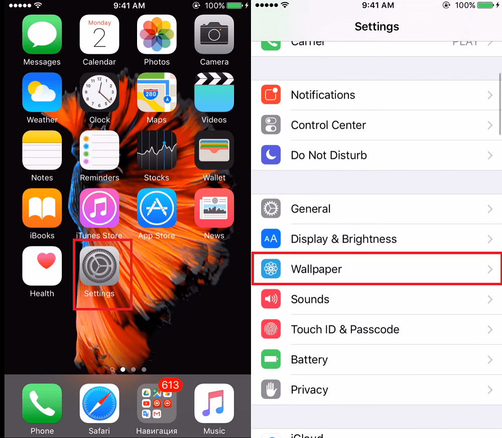 How to Set Live Wallpaper on iPhone   Easy Steps - 81