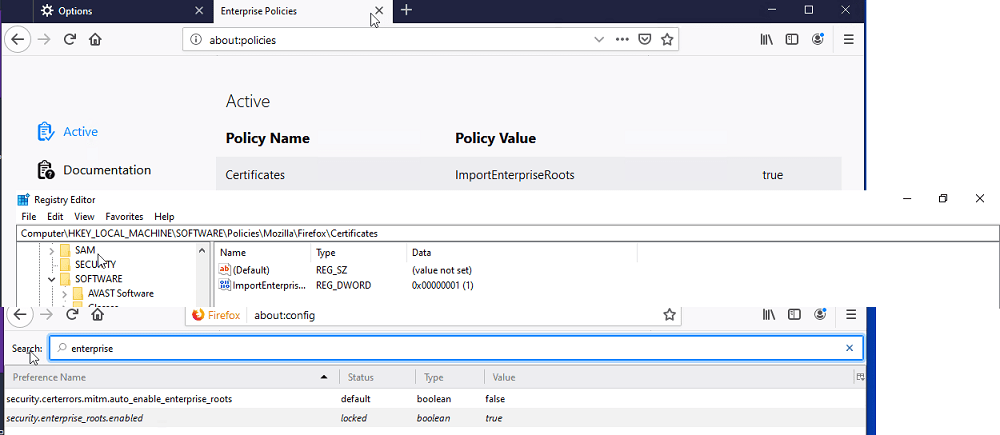 firefox ImportEnterpriseRoots