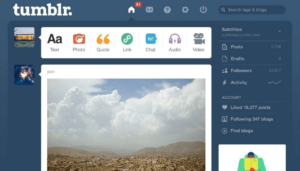 11 Best Sites like Tumblr Alternatives New to (2024)