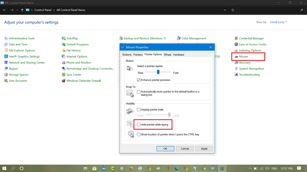 hide Pointer when Typing in control panel in windows 10