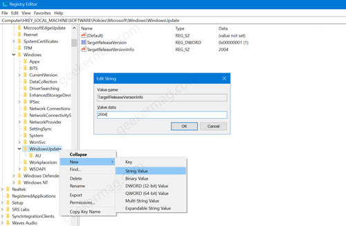 TargetReleaseVersionInfo string value in windows 10 registry editor