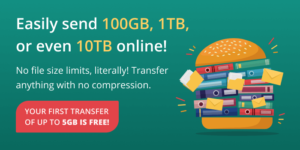 How to Send Large Files Online Using FileWhopper