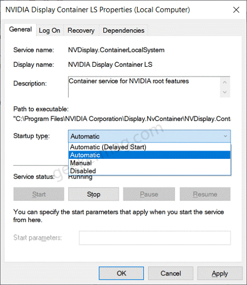 nvidia display container LS startup settings