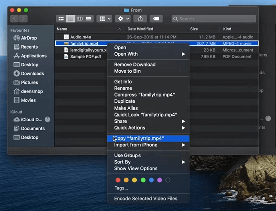 How to Copy and Paste on Mac  All Methods  - 3