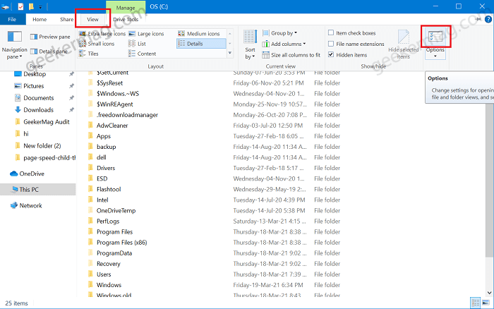 File Explorer view options