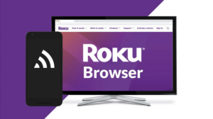 5 Best Web Browsers for Roku (Worth Trying in 2022) 5 Best Web Browsers for Roku (Worth Trying in 2021)