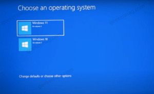 Dual boot Windows 10 and Windows 11 know How to do this!