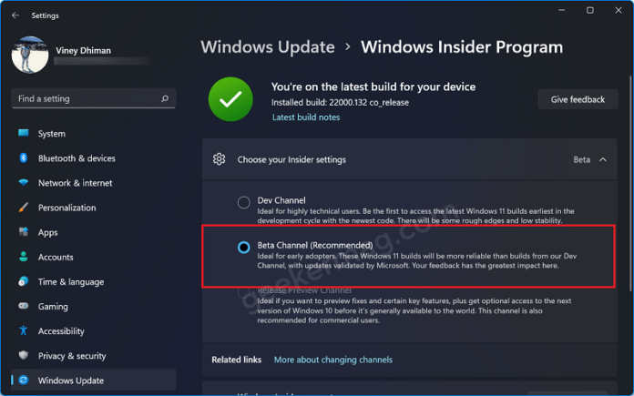 windows 11 dev download