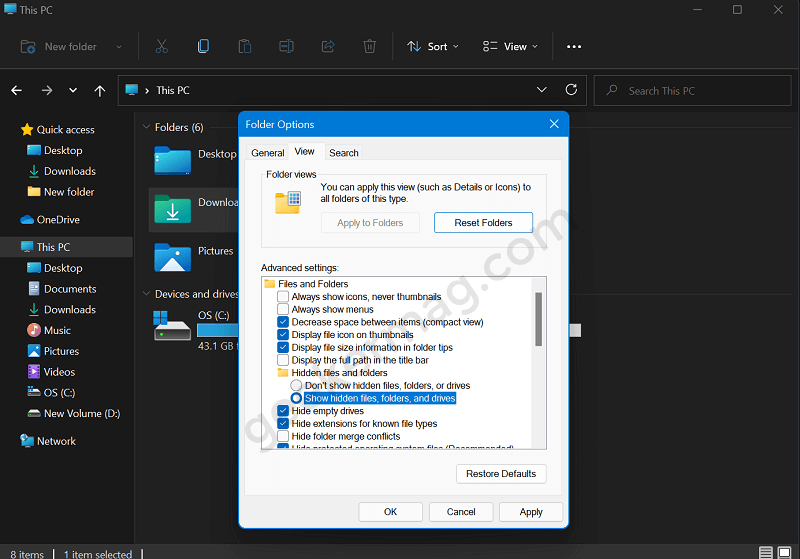 How to Show Hidden Files  Folders   Drives on Windows 11 - 91