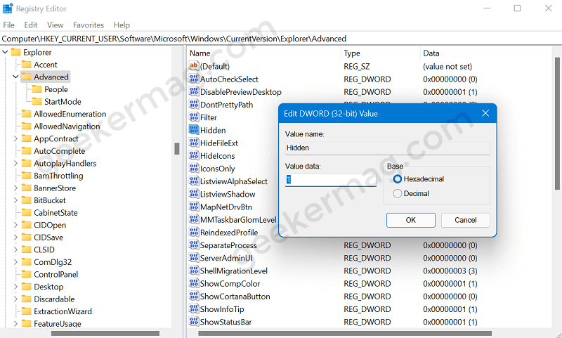 How to Show Hidden Files  Folders   Drives on Windows 11 - 27
