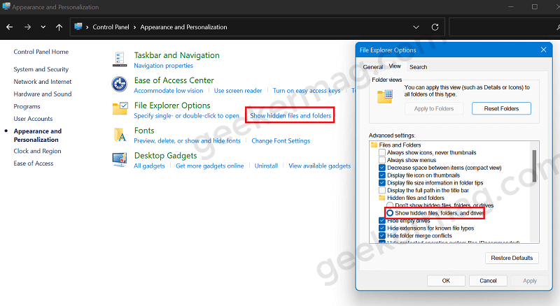 Show hidden files, folder and driver option in Windows 11