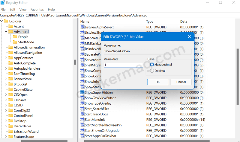 Show hidden protected files and folders in Windows 11 using the registry editor.