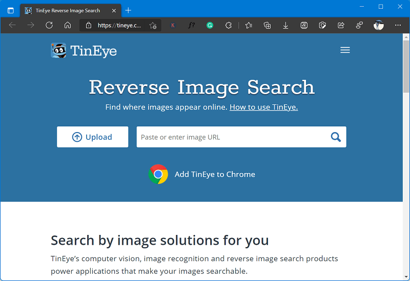 TinEye: Reverse Image Search