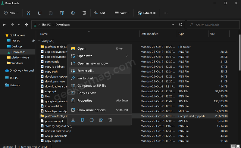 extract google developer tool package in windows 11