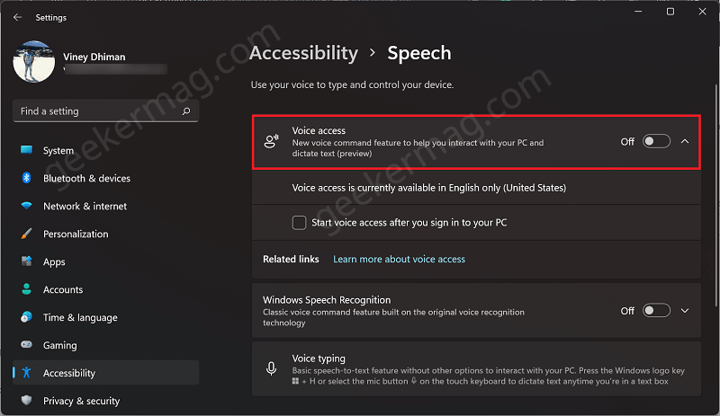 turn on voice access option in windows 11