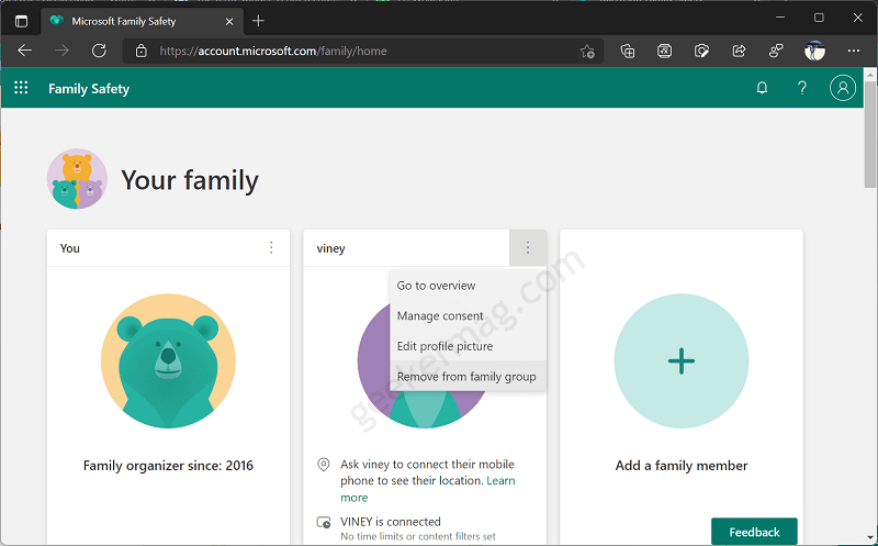 remove from family group in windows 11