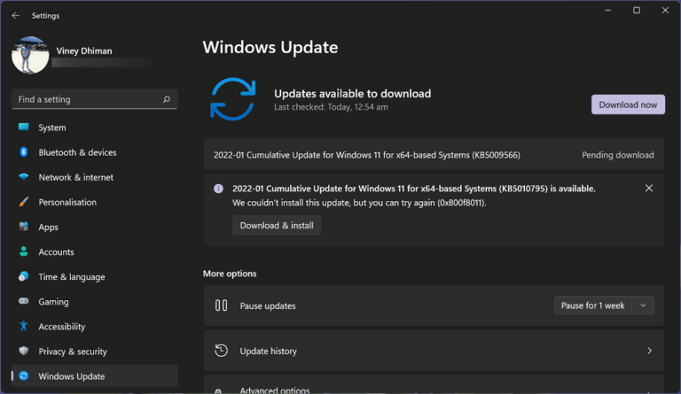 How to Reset Windows Update in Windows 11