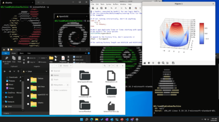 How to Uninstall Windows Subsystem for Linux (WSL) on Windows 11