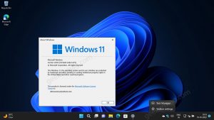 Enable Task Manager Option in Taskbar Menu in Windows 11 Moment 1