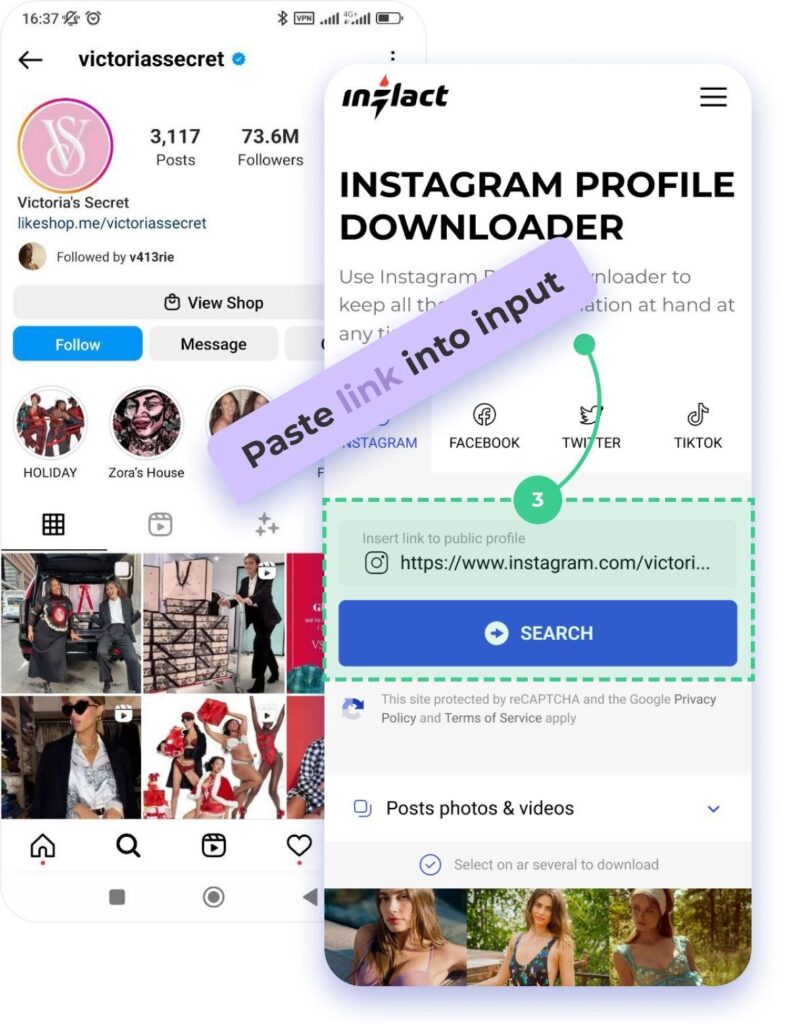 how to use ig downloader step 2