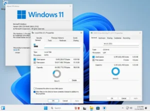 Download & Install Tiny11 2311 (Windows 11 Lite Version)