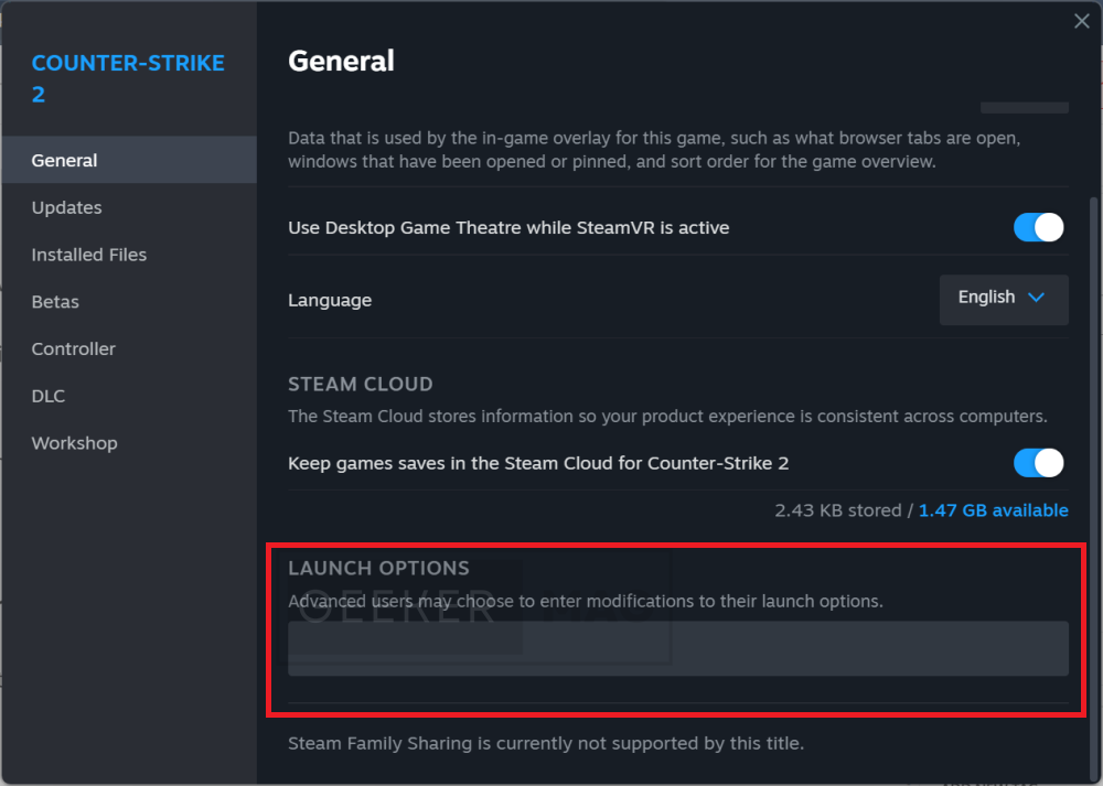 clear launch option field steam