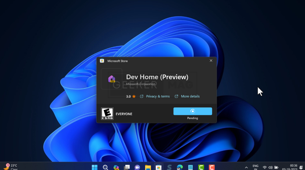 Reinstall Dev home windows 11