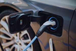 How to Check Electric Car or Vehicle Battery Health