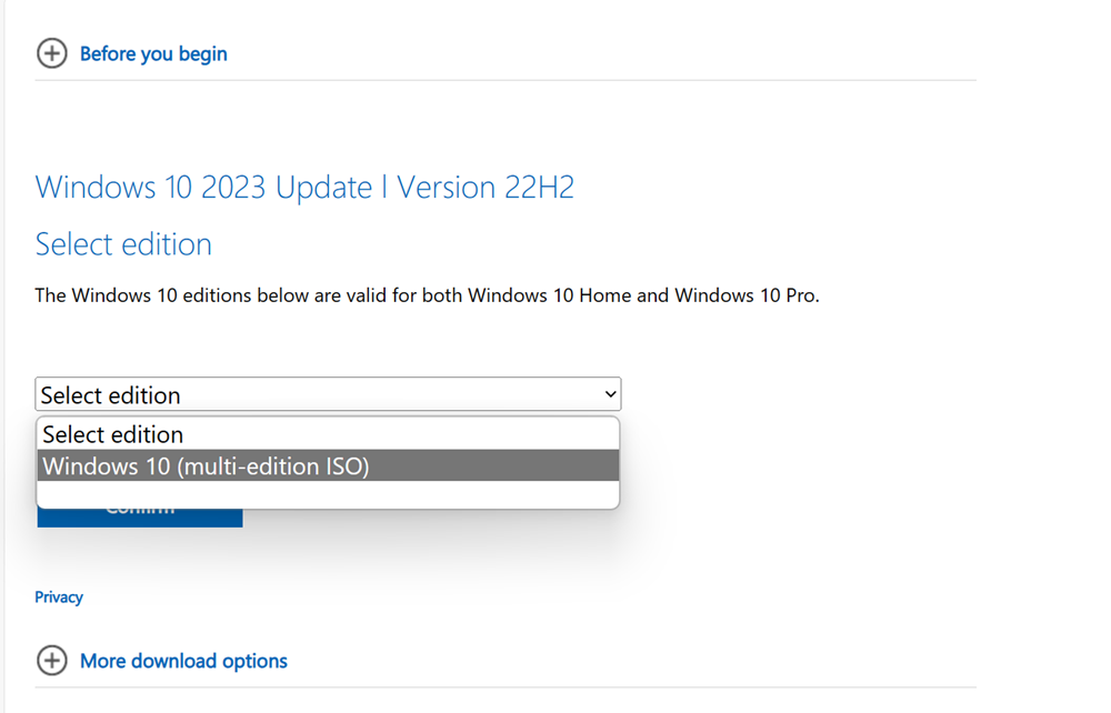 Download Windows 10 22H2 ISO from Microsoft Site