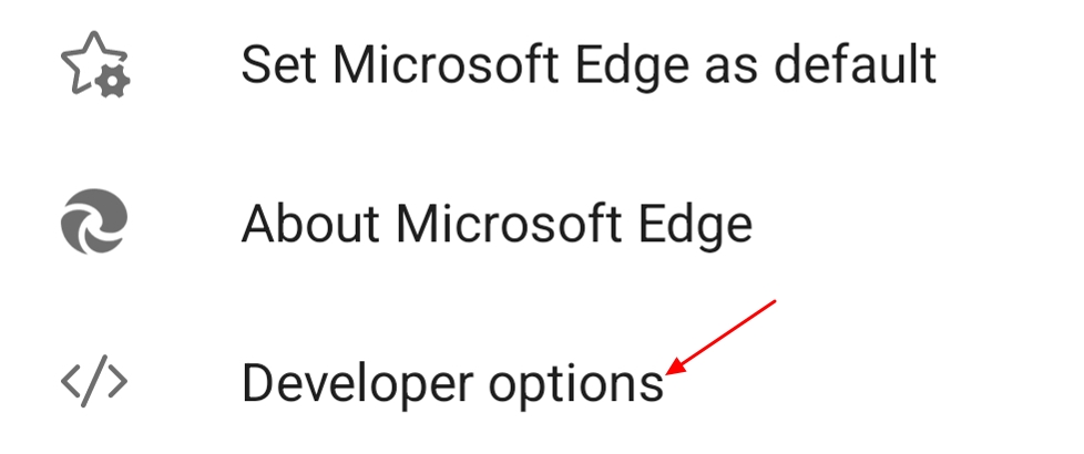 Developer options in Edge settings.