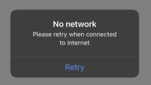 roblox no network