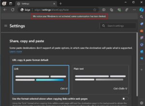 Edge message on unactivated Windows 11.