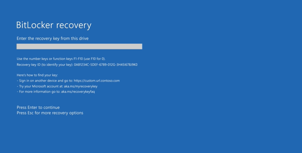 enter bitlocker recovery 1