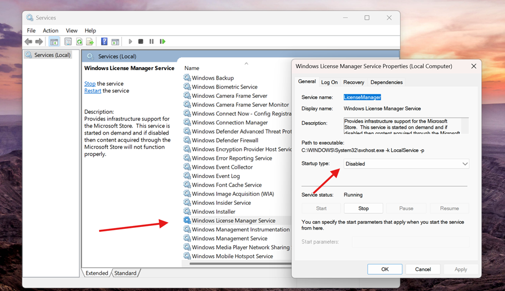 disable windows service license manager windows 11